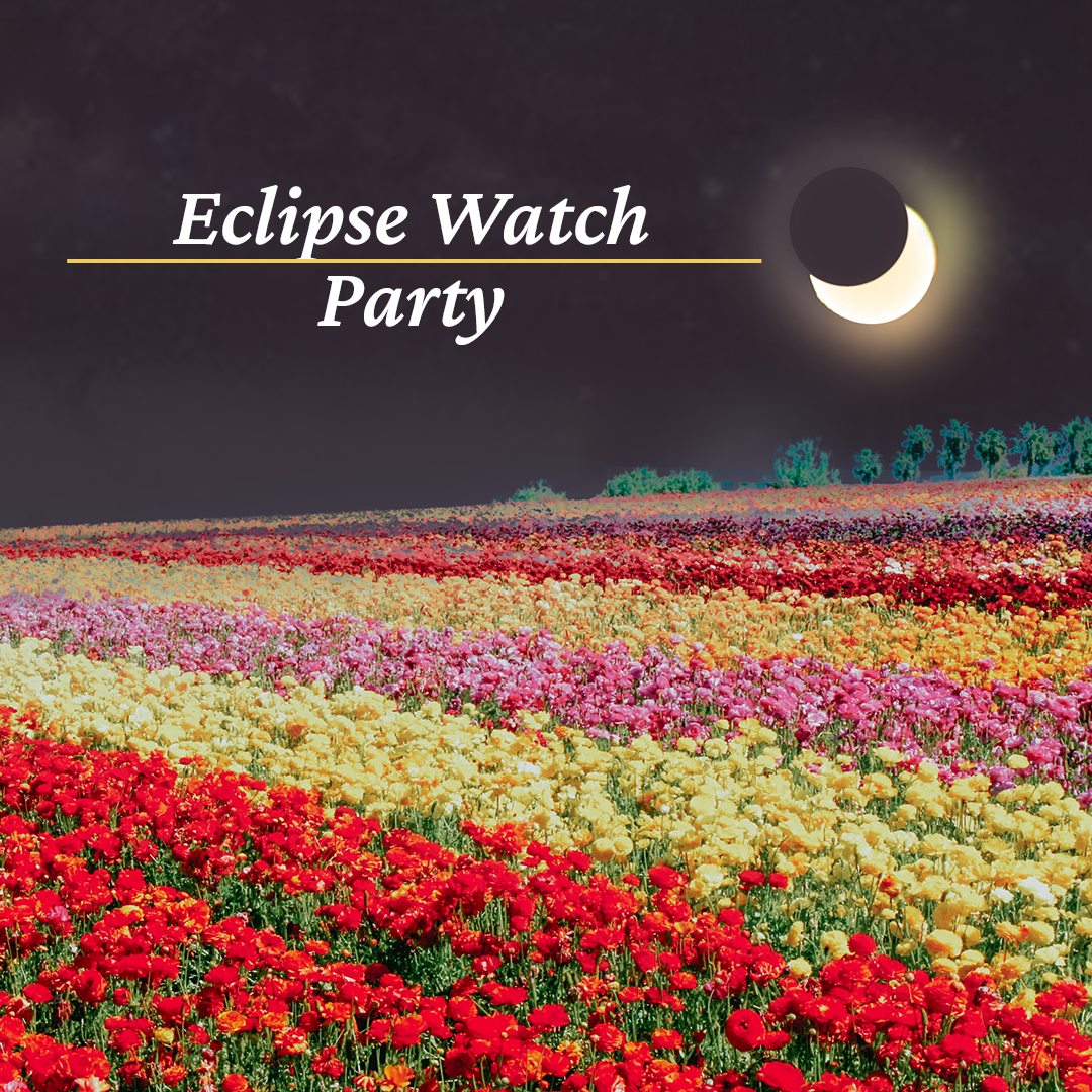 eclipse watch party flyer